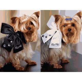  Best Pet Wedding Bow   White with Black Embroidery 