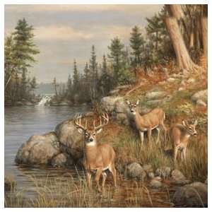  Whitetail Lake 12 x 12 Paper Arts, Crafts & Sewing