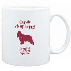    Classic Dog Breed English Cocker Spaniel  Dogs