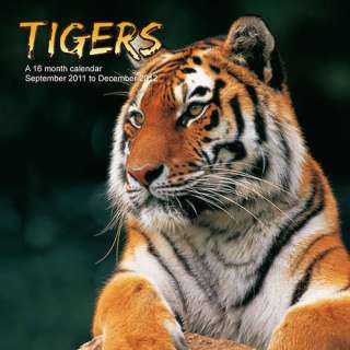 Tigers 2012 Wall Calendar 1617910147  