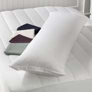 Shop for Pillow Covers in the Bed & Bath department of  