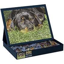 LANG 500 PIECE JIGSAW PUZZLE  NEW GENTLE GIANT  