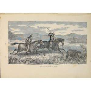  Bear Hunt Hunting Bears Horse Horses Antique Print Art 