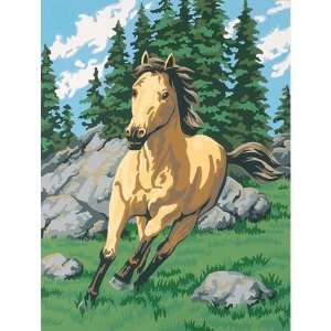   By Number Kit 9 Inch X12 Inch  Wild Mustang Arts, Crafts & Sewing
