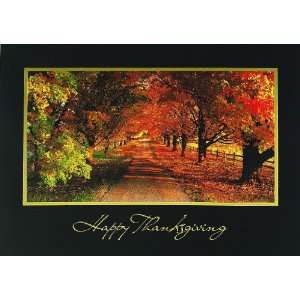 Country Road Lined with Autumn Trees Holiday Cards 
