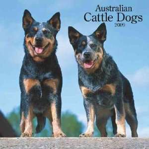  Australian Cattle Dogs 2009 Calendar