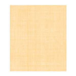  York Wallcoverings PX8941 Color Expressions Handmade Paper 