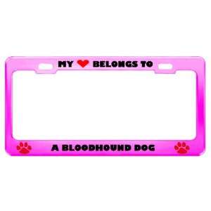  A Bloodhound Dog Pet Pink Metal License Plate Frame Tag 