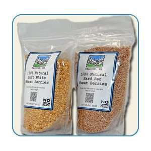 Grown  GMO Free  Hard Red and Soft White Wheat Berries Sample 