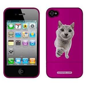  Chartreux on AT&T iPhone 4 Case by Coveroo  Players 