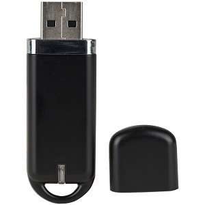  8GB USB 2.0 Flash Drive (Black/Silver) Electronics