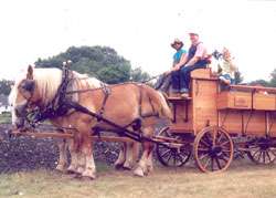 Circa 1850 Custom Horse Drawn Hitch Wagon  