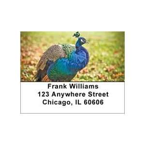  Peacock Plumes Address Labels