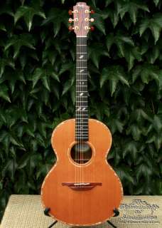   in this beautiful guitar the guitar comes with a solid calton case
