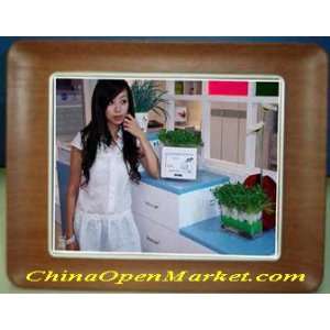  10.4 inch TFT LCD 800*600 PIXEL Digital Photo / Picture 