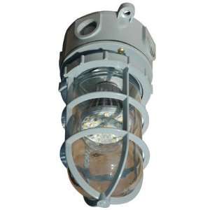 Magnalight Class 1, Division 2 Chemical Resistant LED Light   7 Watts 