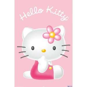  Children Posters Hello Kitty   3D   23.8x35.7 inches 
