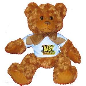   CHALLENGE FINALIST Plush Teddy Bear with BLUE T Shirt Toys & Games