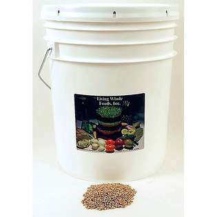   Whole Foods 35 pound Bucket of Organic Wheat Grain Seed 