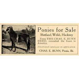  1906 Ad Shetland Welsh Hackney Pony Chas E Bunn Peoria 