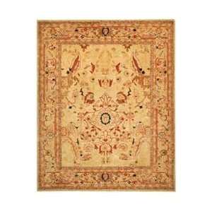  AN514A Ivory and Beige Traditional 6 x 9 Area Rug