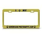AMERICAN POLYDACTYL CAT GOLD METAL LICENSE PLATE FRAME TAG HOLDER