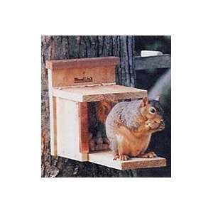  Squirrel Feeder Box
