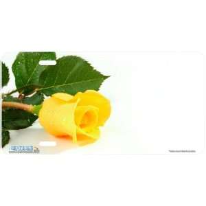 292 Yellow Rose Rose Flower License Plates Car Auto Novelty Front 