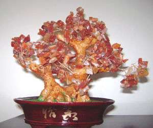 Real Orange Brown AGATE Precious Stone Bonsai Tree  