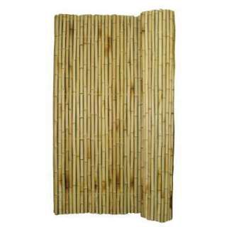 Backyard X Scapes 3 ft. H x 6 ft. W x 3/4 in. D Natural Rolled Bamboo 