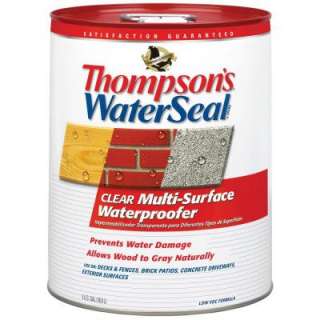 Thompsons WaterSeal 5 Gallon Clear Multi Surface Waterproofer TH 