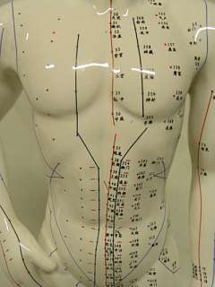 Large Porcelain Acupuncture Man 21 Tall New  