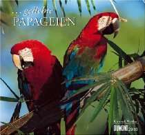 geliebte papageien 2010 von dumont kalenderverlag gmb derzeit nicht 