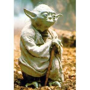 Star Wars   Poster   Yoda + Ü Poster  Küche & Haushalt