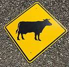 cattle crossing  