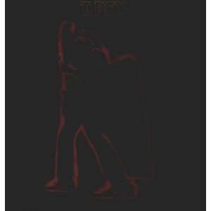 Electric Warrior [Vinyl LP] T.Rex  Musik