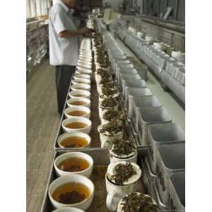  Cups Being Prepared for Tasting, Carrit Moran & Company Tea Brokers 