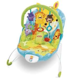  Fisher Price Precious Planet Happy Giraffe Bouncer Baby