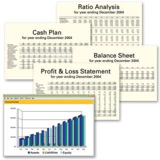 Business PlanMaker Professional 9.0 Individual Software  Report Chart 