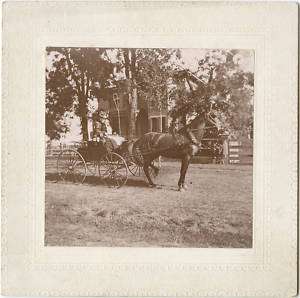 WOMAN WITH GIRL RIDING HORSE CARRIAGE & ANTIQUE PHOTO  