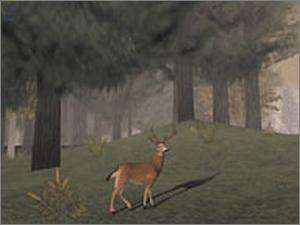 deer hunter 5 tracking trophies