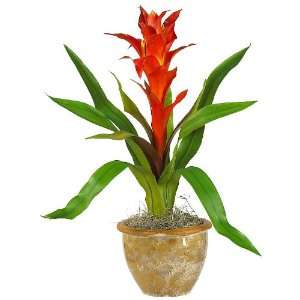  Single Star Bromeliad Silk Arrangement