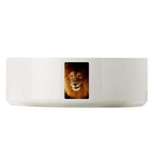  Large Dog Cat Food Water Bowl Male Lion Smirk Everything 