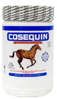 Cosequin EQUINE Powder Concentrate 700 gm  