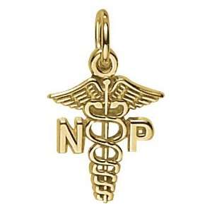   Rembrandt Charms Nurse Practitioner Charm, Gold Plated Silver Jewelry