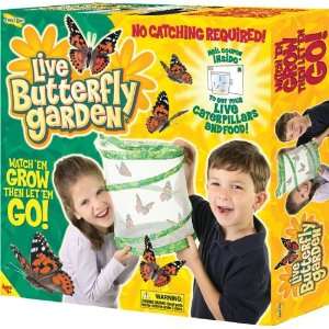  Insect Lore Live Butterfly Garden Toys & Games