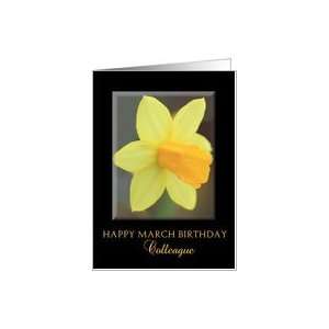  colleague Happy March Birthday Daffodil Birth Month Flower 