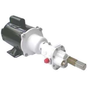 Dayton 6DHJ2 Hot Oil Cooking Pump, 3/4 HP, 115/230V  