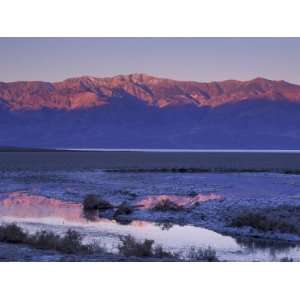 Dawn at Badwater, Death Valley National Park, California, USA Premium 