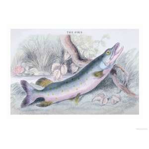   The Pike Giclee Poster Print by Robert Hamilton, 32x24